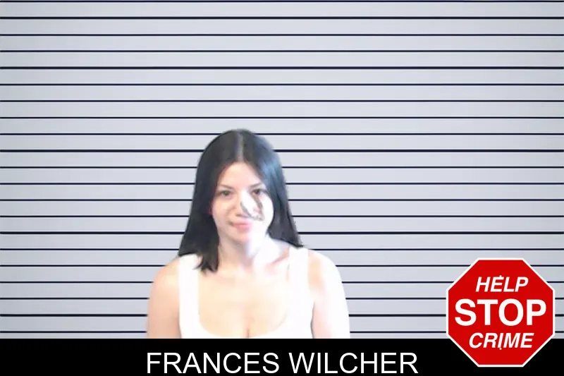 Frances Wilcher mugshot – DeKalb County , Georgia Frances Wilcher mugshot