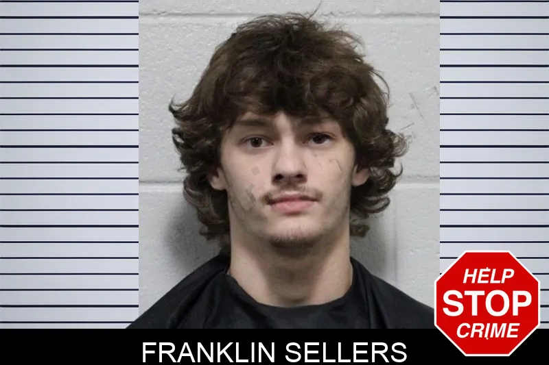 Franklin Sellers mugshot – Habersham County , Georgia Franklin Sellers mugshot