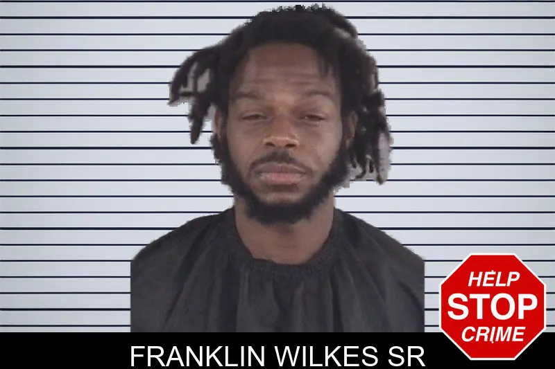 Franklin Wilkes Sr mugshot