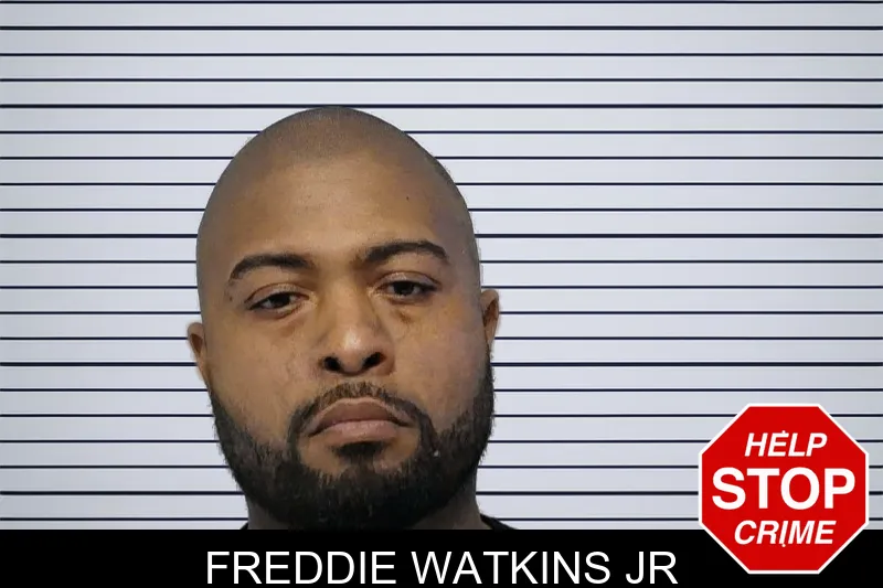 Freddie Watkins Jr mugshot