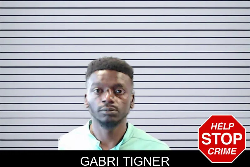 Gabri Tigner mugshot – DeKalb County , Georgia Gabri Tigner mugshot