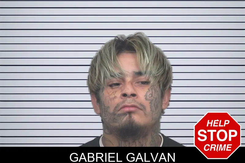 Gabriel Galvan mugshot – Gwinnett County , Georgia Gabriel Galvan mugshot
