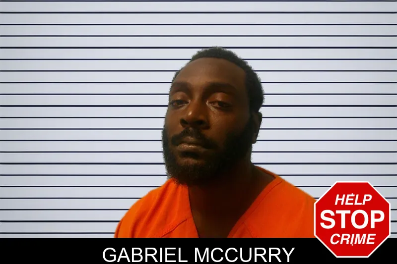 Gabriel McCurry mugshot – Franklin County , Georgia Gabriel McCurry mugshot