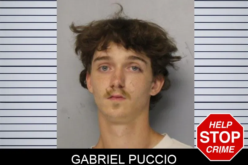 Gabriel Puccio mugshot – Hall County , Georgia Gabriel Puccio mugshot