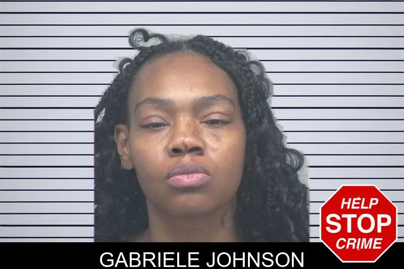 Gabriele Johnson mugshot – Gwinnett County , Georgia Gabriele Johnson mugshot