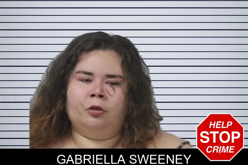 Gabriella Sweeney mugshot – Mcintosh County , Georgia Gabriella Sweeney mugshot