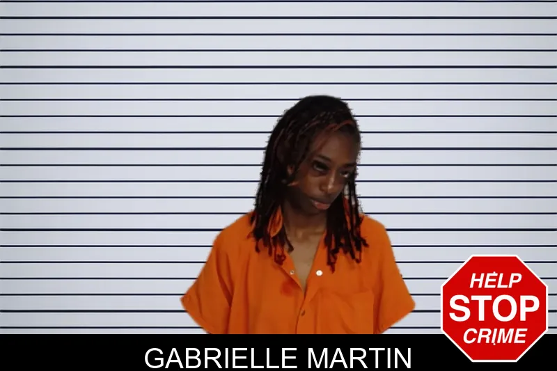 Gabrielle Martin mugshot – Rockdale County , Georgia Gabrielle Martin mugshot