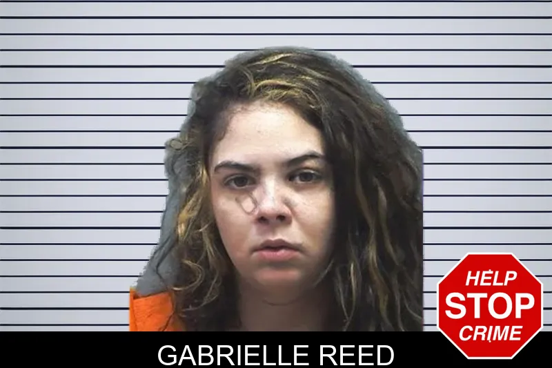 Gabrielle Reed mugshot – Cherokee County , Georgia Gabrielle Reed mugshot