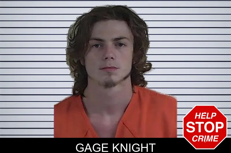 Gage Knight mugshot – Fannin County , Georgia Gage Knight mugshot