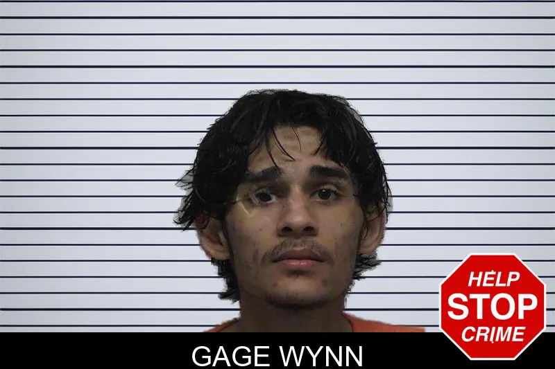 Gage Wynn mugshot – Laurens County , Georgia Gage Wynn mugshot