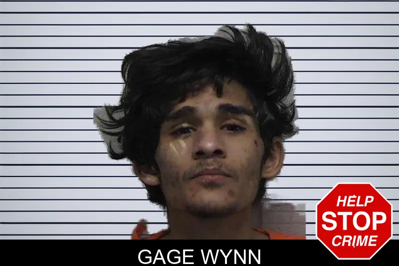 Gage Wynn mugshot – Laurens County , Georgia Gage Wynn mugshot