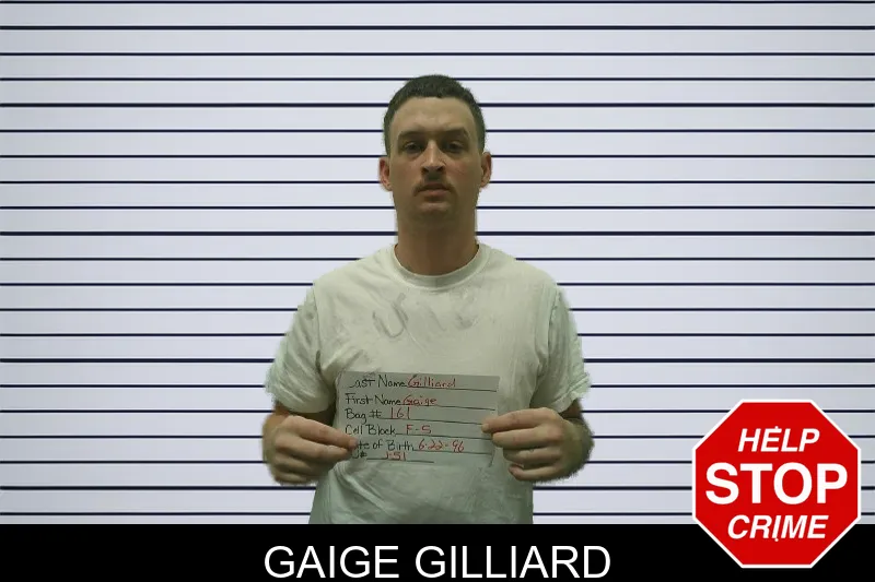 Gaige Gilliard mugshot