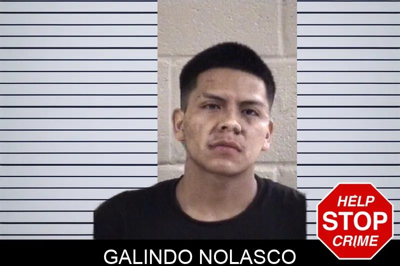 Galindo Nolasco mugshot – Whitfield County , Georgia Galindo Nolasco mugshot