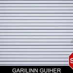 Garilinn Guiher mugshot – Ware County , Georgia Garilinn Guiher mugshot