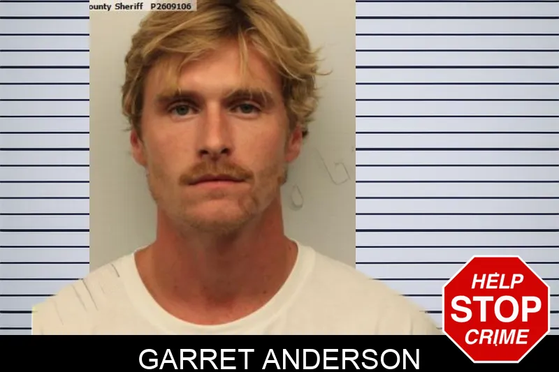 Garret Anderson mugshot