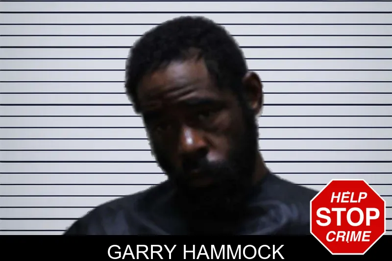 Garry Hammock mugshot – Haralson County , Georgia Garry Hammock mugshot