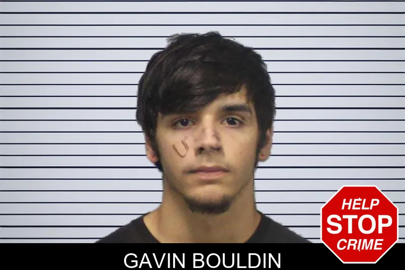 Gavin Bouldin mugshot – White County , Georgia Gavin Bouldin mugshot