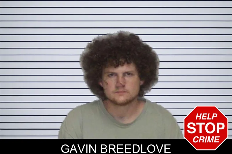 Gavin Breedlove mugshot – Morgan County , Georgia Gavin Breedlove mugshot