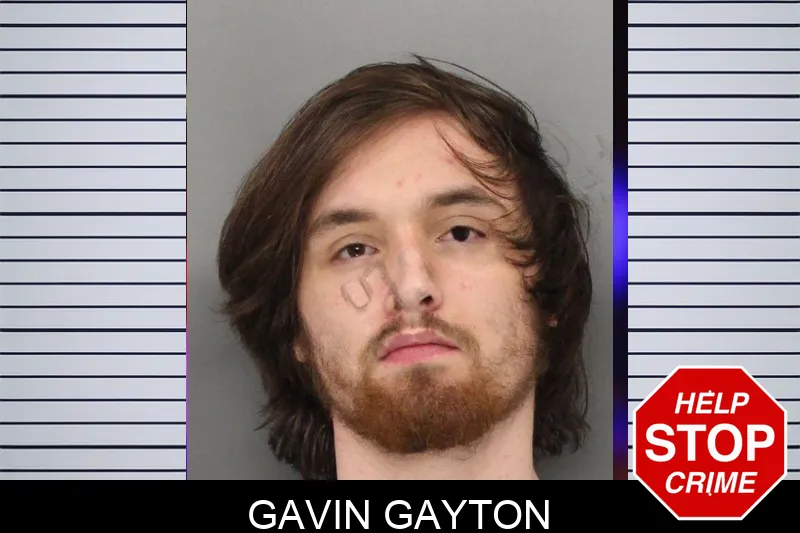 Gavin Gayton mugshot