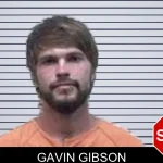 Gavin Gibson mugshot – Oconee County , Georgia Gavin Gibson mugshot