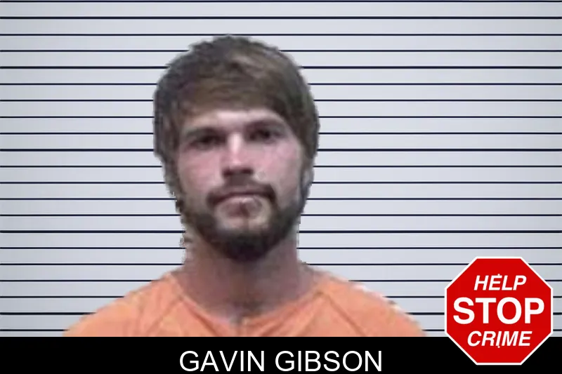 Gavin Gibson mugshot – Oconee County , Georgia Gavin Gibson mugshot