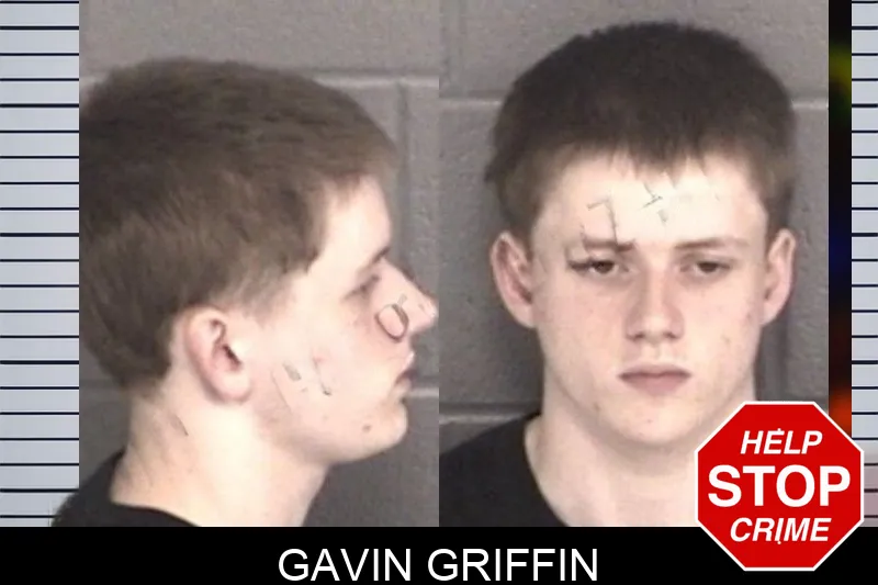 Gavin Griffin mugshot – Barrow County , Georgia Gavin Griffin mugshot