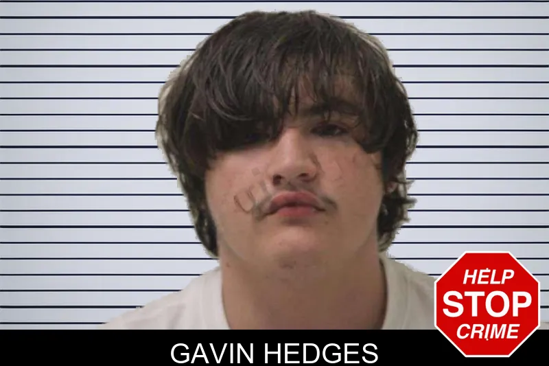 Gavin Hedges mugshot – Jones County , Georgia Gavin Hedges mugshot