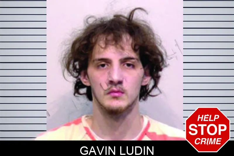 Gavin Ludin mugshot