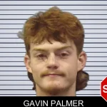 Gavin Palmer mugshot