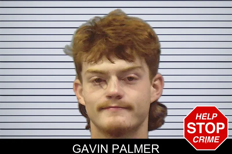 Gavin Palmer mugshot