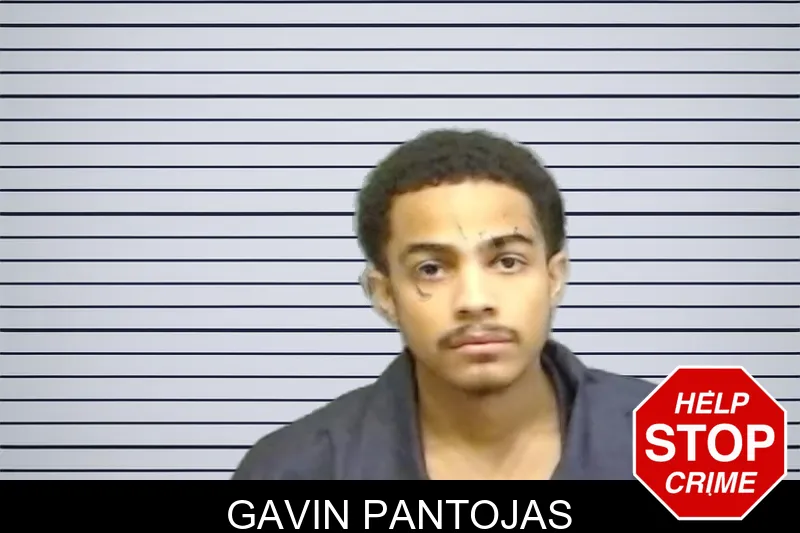 Gavin Pantojas mugshot – Fulton County , Georgia Gavin Pantojas mugshot