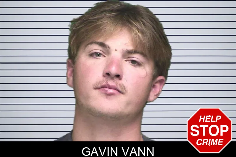 Gavin Vann mugshot – Appling County , Georgia Gavin Vann mugshot