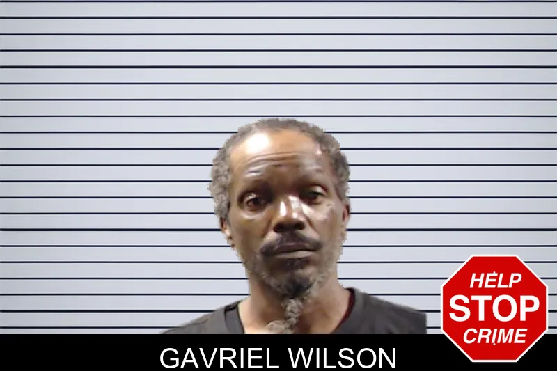 Gavriel Wilson mugshot