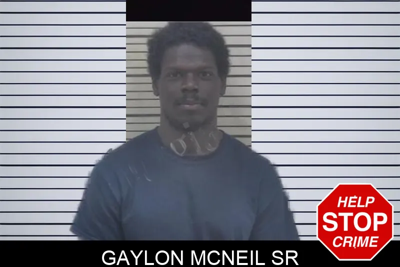 Gaylon McNeil Sr mugshot