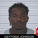 Gaytonia Johnson mugshot – Fayette County , Georgia Gaytonia Johnson mugshot
