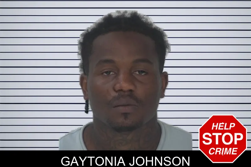 Gaytonia Johnson mugshot – Fayette County , Georgia Gaytonia Johnson mugshot