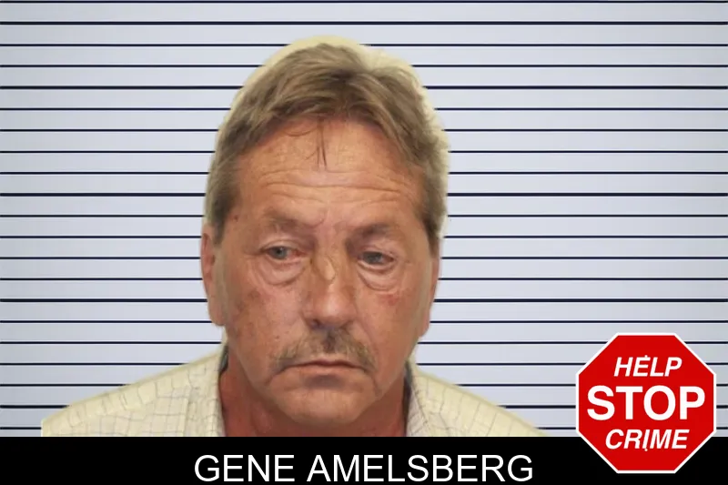 Gene Amelsberg mugshot – Chatham County , Georgia Gene Amelsberg mugshot