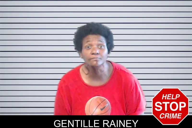 Gentille Rainey mugshot