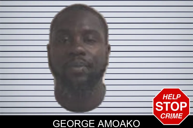 George Amoako mugshot – Henry County , Georgia George Amoako mugshot