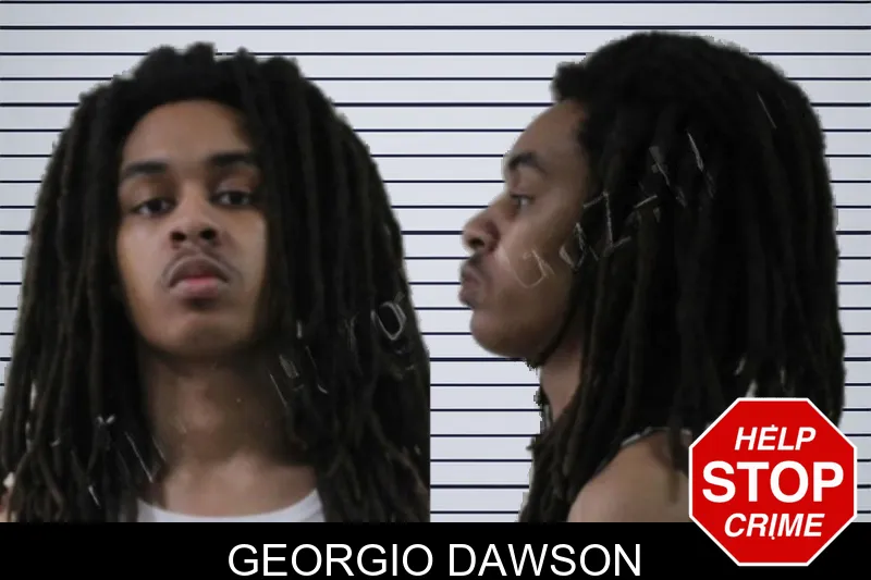 Georgio Dawson mugshot – Houston County , Georgia Georgio Dawson mugshot