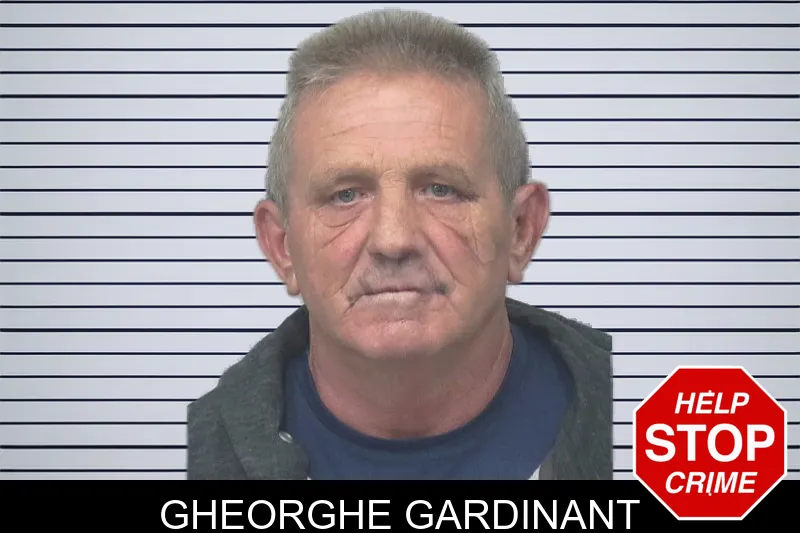 Gheorghe Gardinant mugshot – Gwinnett County , Georgia Gheorghe Gardinant mugshot