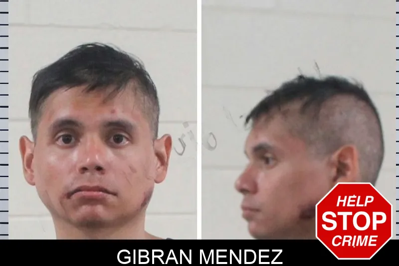 Gibran Mendez mugshot – Houston County , Georgia Gibran Mendez mugshot