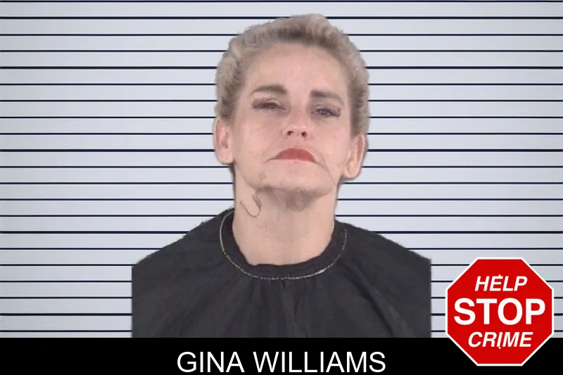 Gina Williams mugshot