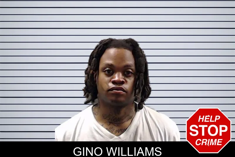 Gino Williams mugshot – DeKalb County , Georgia Gino Williams mugshot