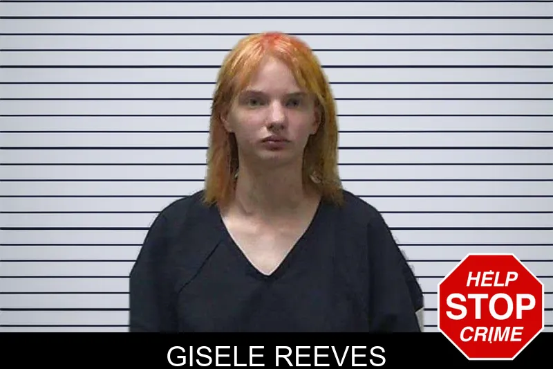 Gisele Reeves mugshot – Gilmer County , Georgia Gisele Reeves mugshot