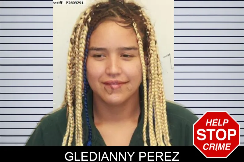 Gledianny Perez mugshot – Chatham County , Georgia Gledianny Perez mugshot
