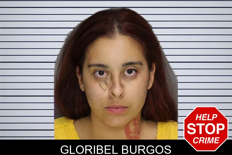 Gloribel Burgos mugshot – Cobb County , Georgia Gloribel Burgos mugshot