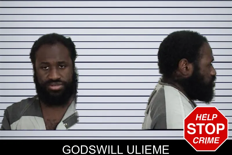 Godswill Ulieme mugshot – Camden County , Georgia Godswill Ulieme mugshot