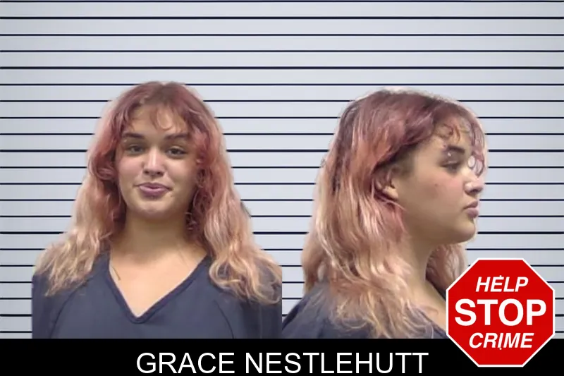 Grace Nestlehutt mugshot