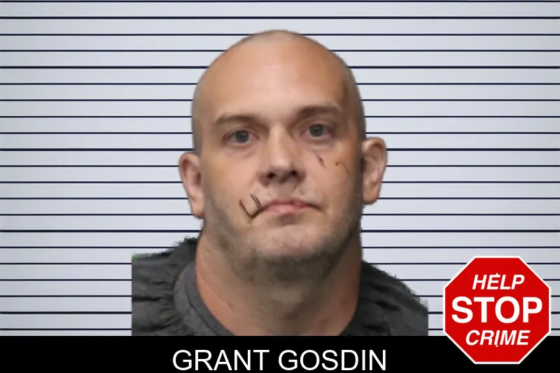 Grant Gosdin mugshot